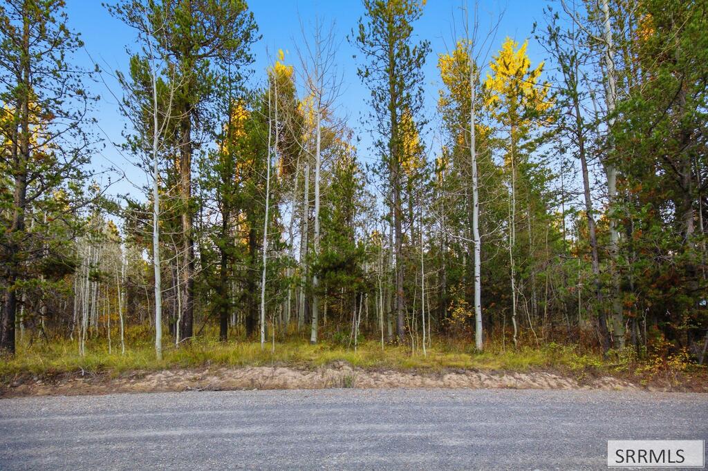 4375 Madeline Trail Property Photo 15