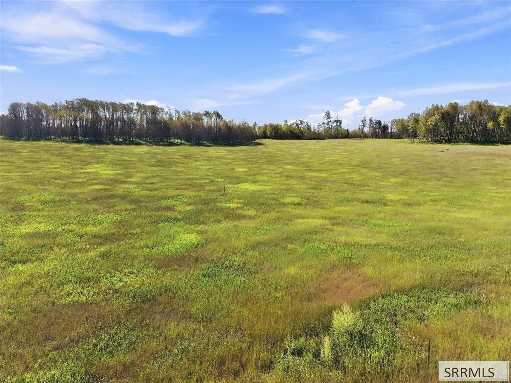 1614 Renegade Fly Drive Property Photo 1