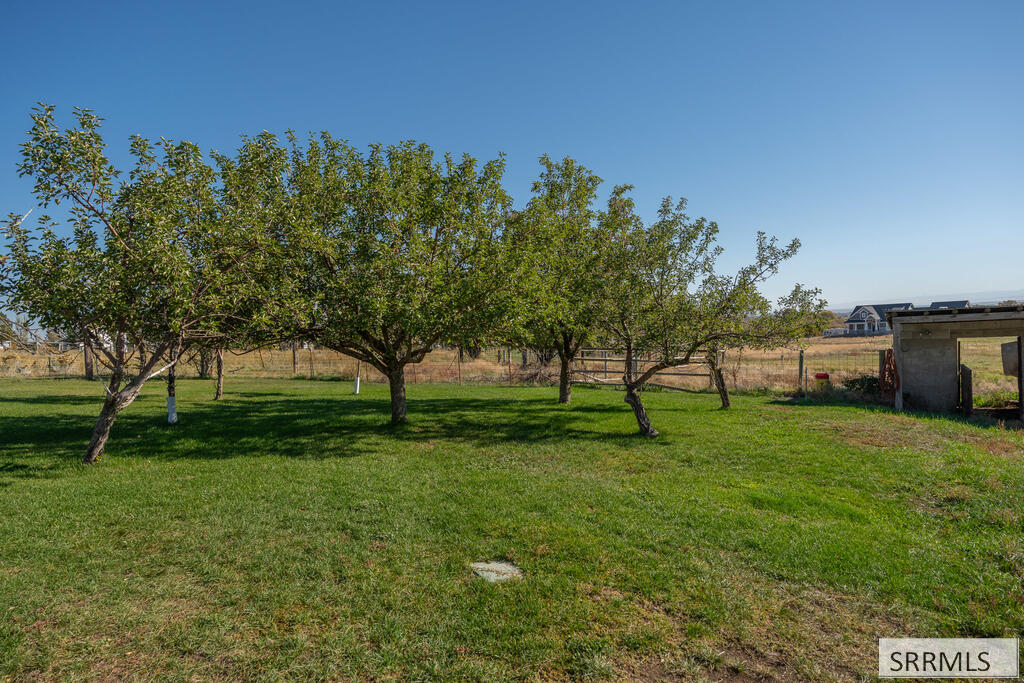 Tbd Butte Road Property Photo 16