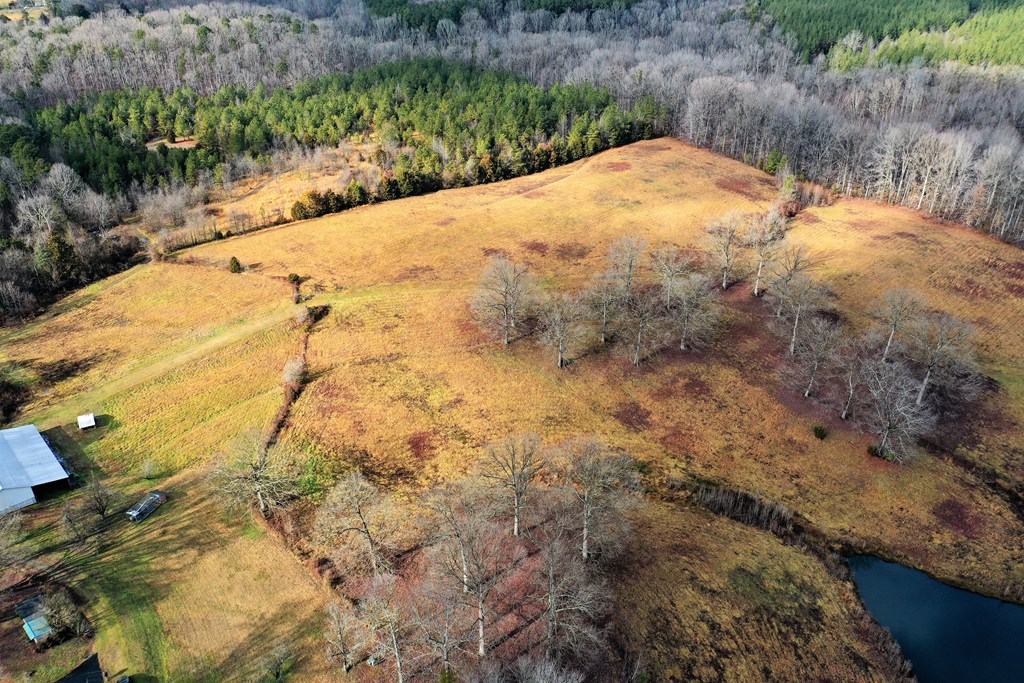 Highway 58 Property Photo 3