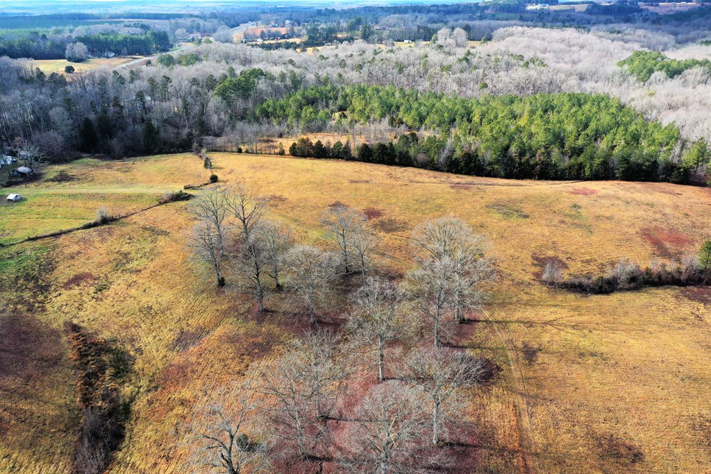 Highway 58 Property Photo 5