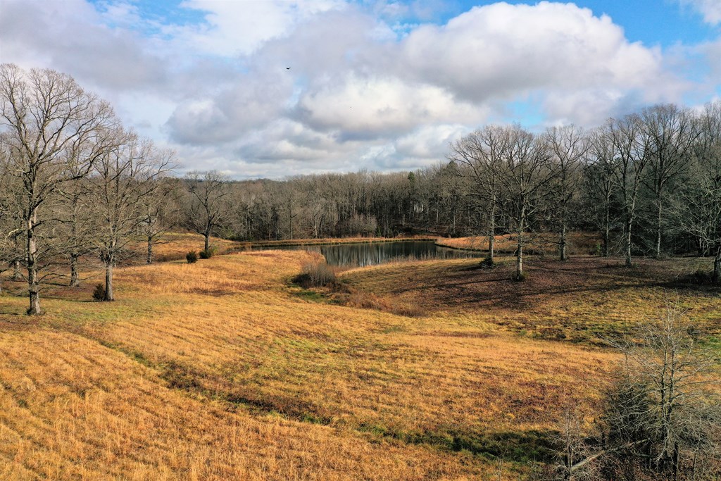 Highway 58 Property Photo 12