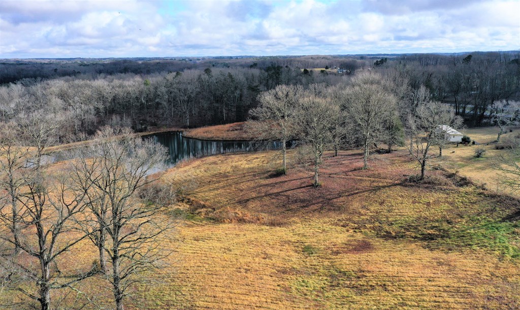 Highway 58 Property Photo 14