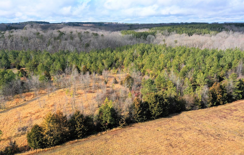 Highway 58 Property Photo 16