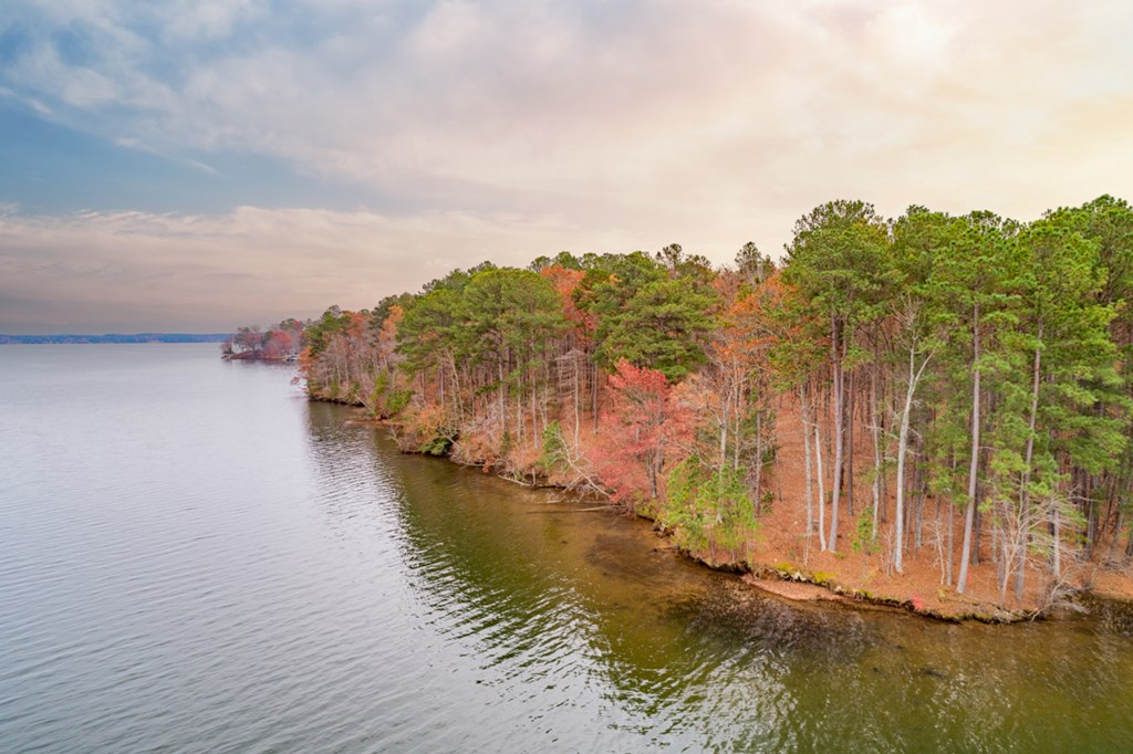 Lot 7 Serenity Point Property Photo 23