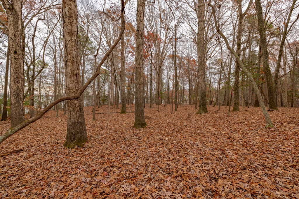 Lot 7 Serenity Point Property Photo 30
