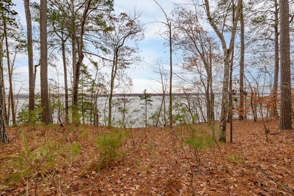 Lot 7 Serenity Point Property Photo 31