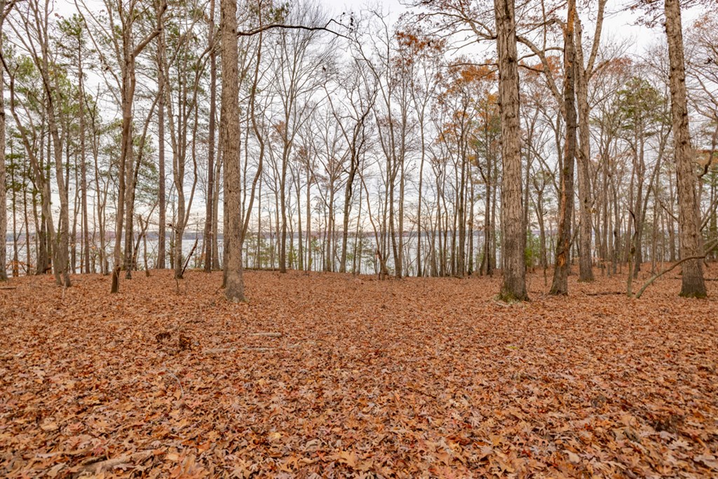 Lot 12 Serenity Point Property Photo 27