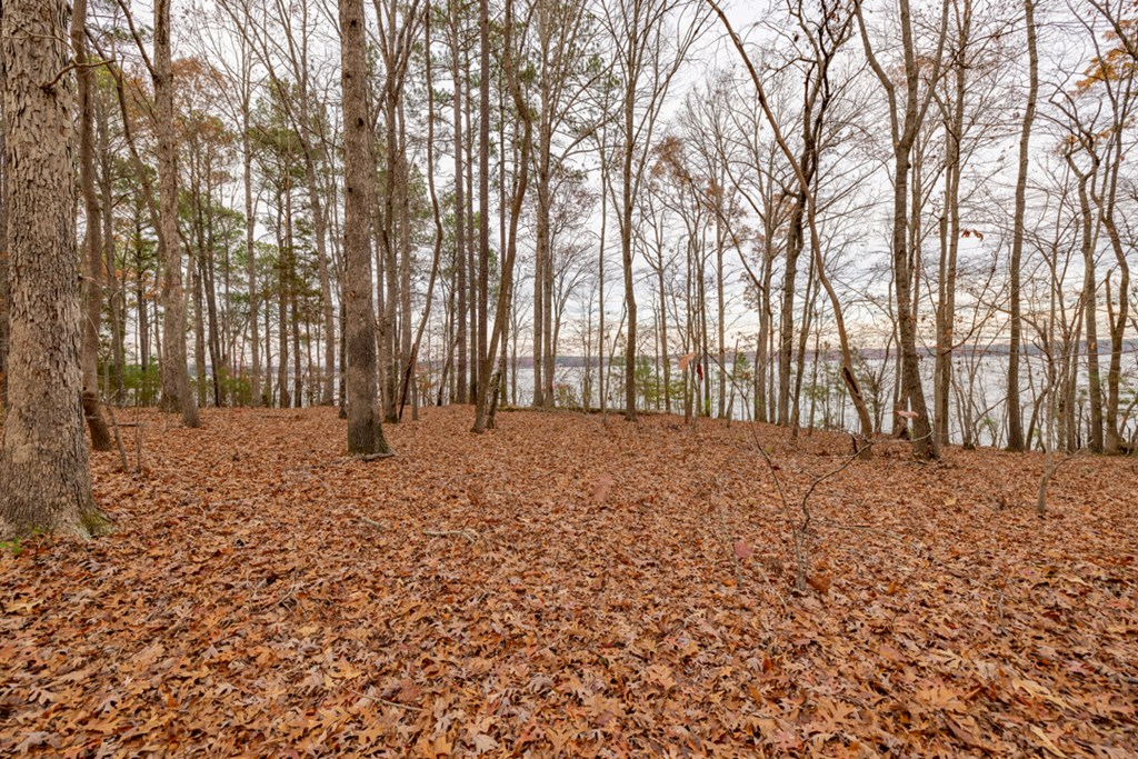 Lot 12 Serenity Point Property Photo 28