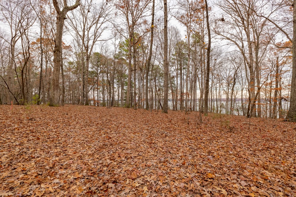 Lot 16 Serenity Point Property Photo 26