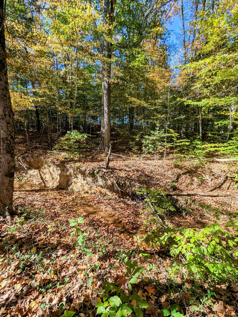 Lot 16 Grace Stone Drive Property Photo 8