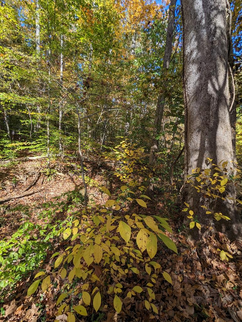 Lot 16 Grace Stone Drive Property Photo 9