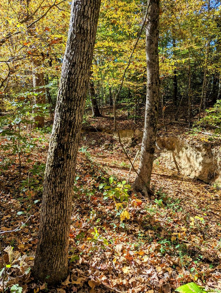 Lot 16 Grace Stone Drive Property Photo 10
