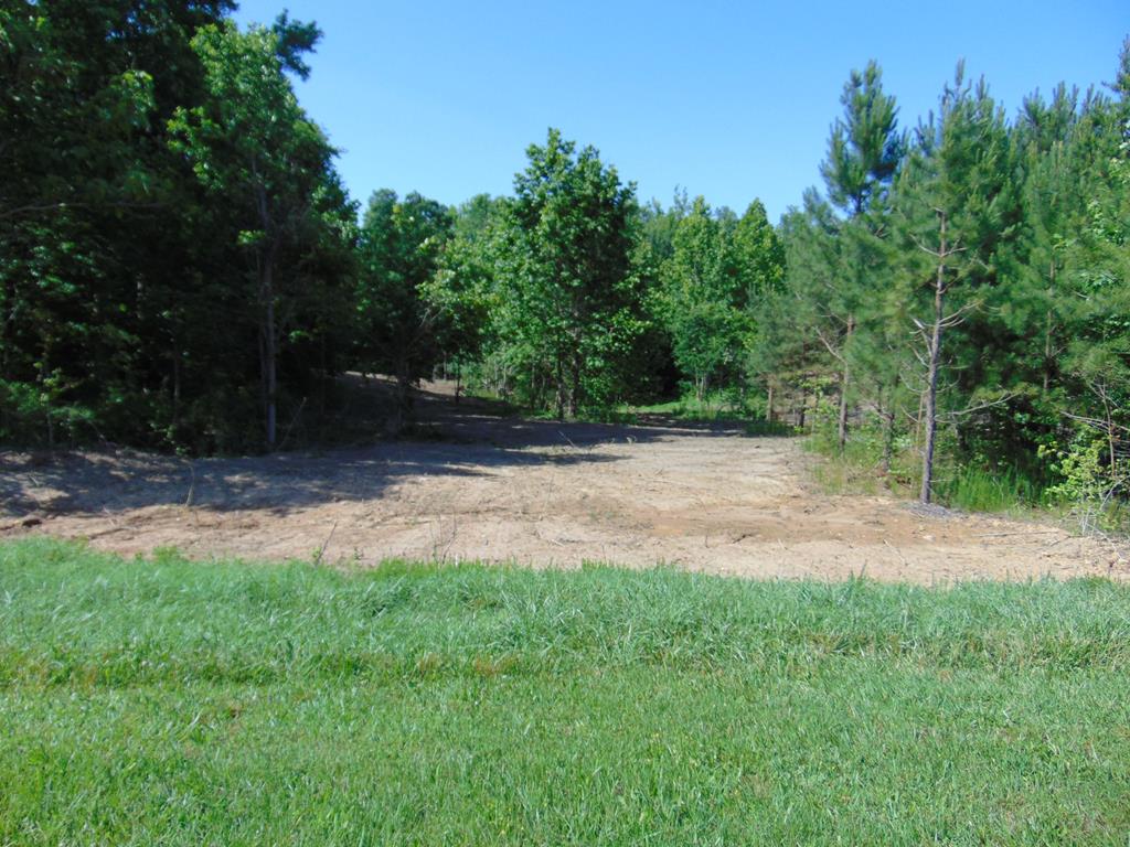 Lot 1 Waterstone Lane Property Photo 3