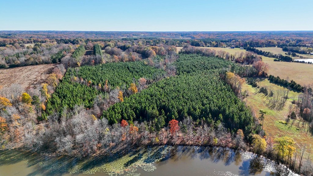 3756 Plank Road Property Photo 2