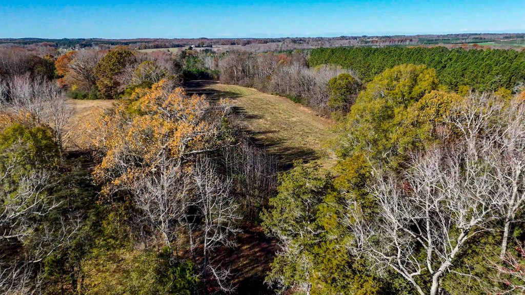 3756 Plank Road Property Photo 3