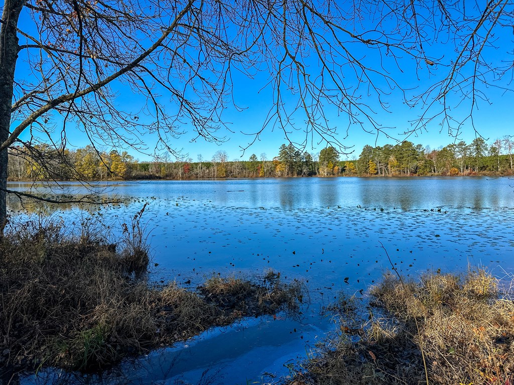 3756 Plank Road Property Photo 4