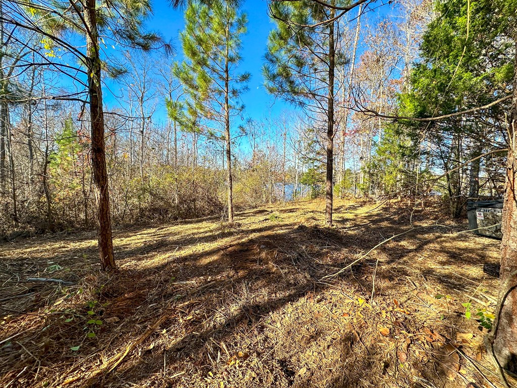 3756 Plank Road Property Photo 5