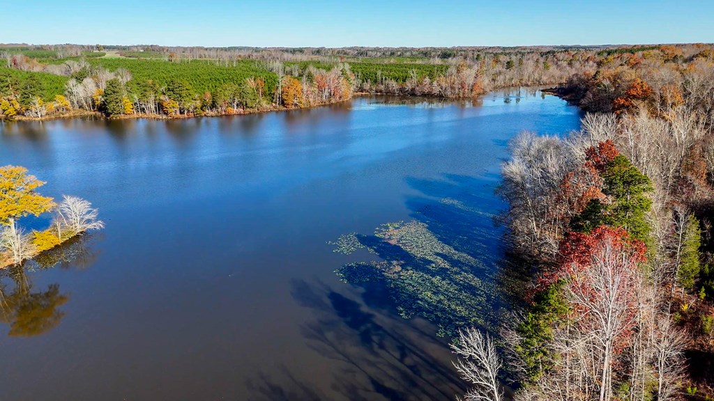 3756 Plank Road Property Photo 7