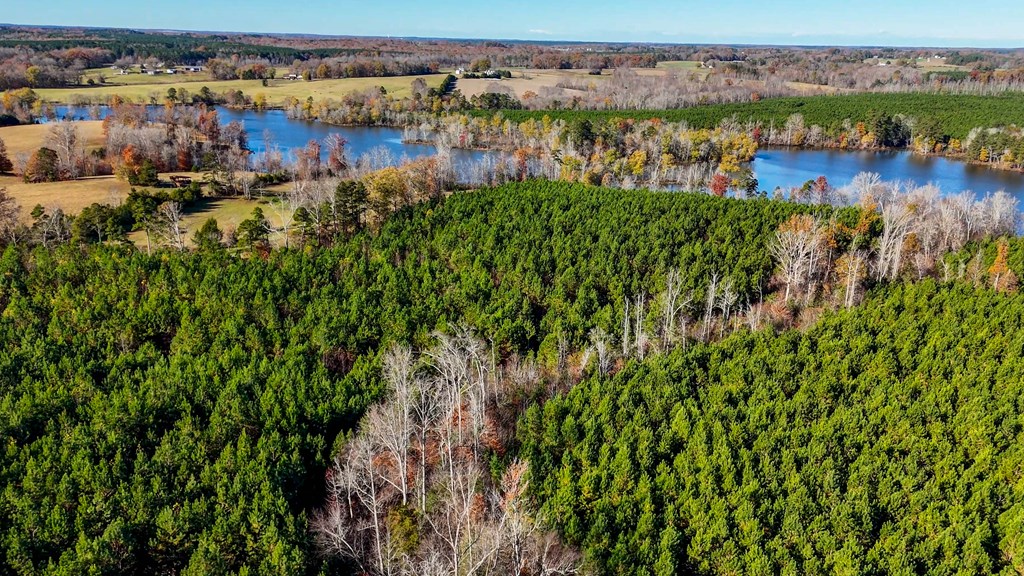 3756 Plank Road Property Photo 8