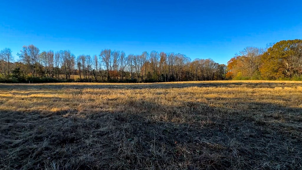 3756 Plank Road Property Photo 10