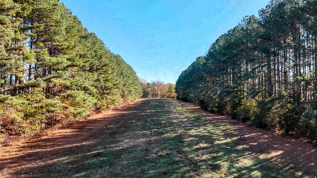 3756 Plank Road Property Photo 11