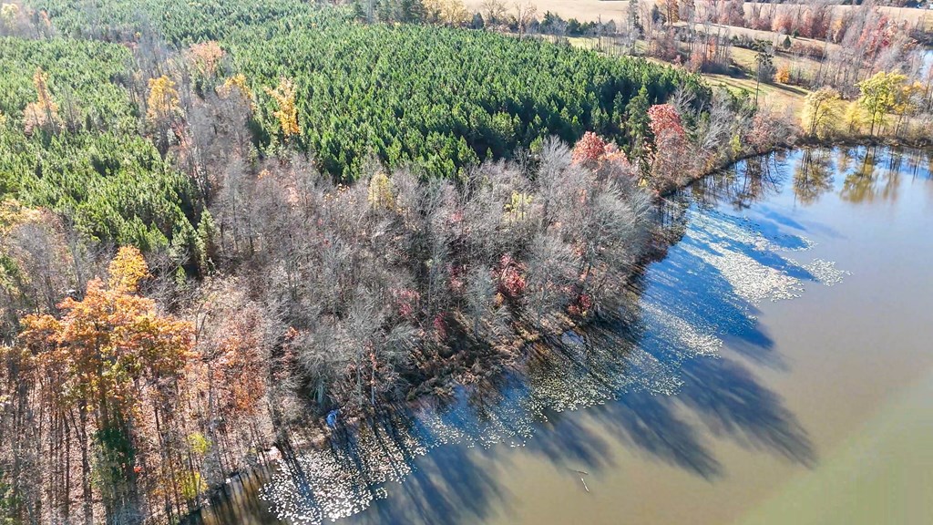 3756 Plank Road Property Photo 12
