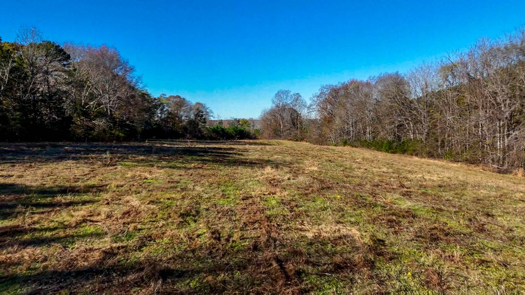 3756 Plank Road Property Photo 13