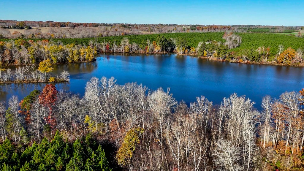3756 Plank Road Property Photo 16