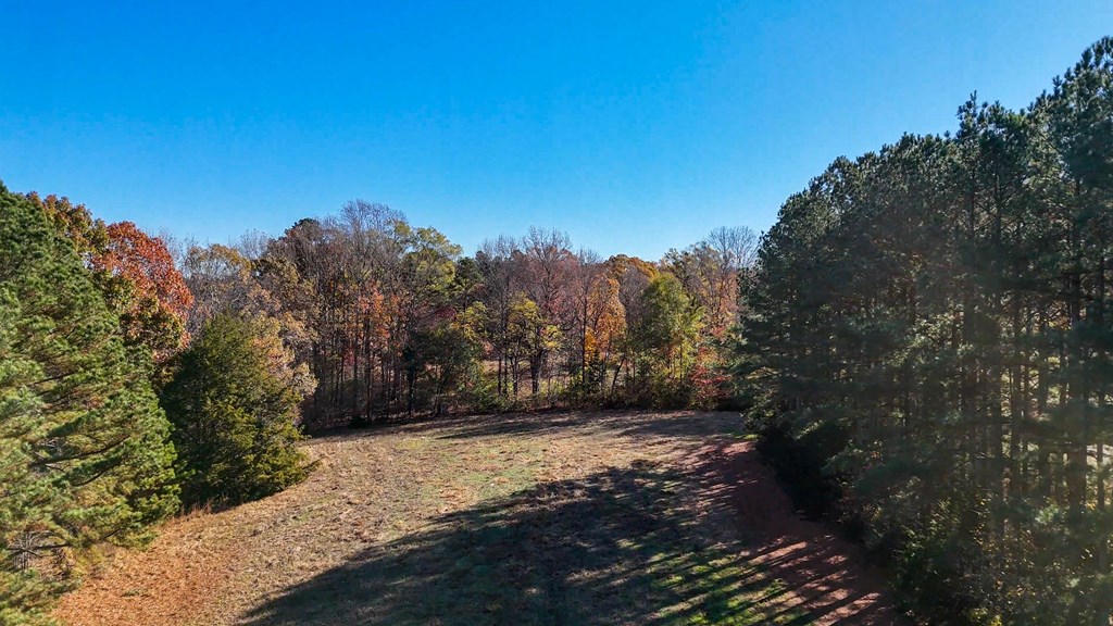 3756 Plank Road Property Photo 17