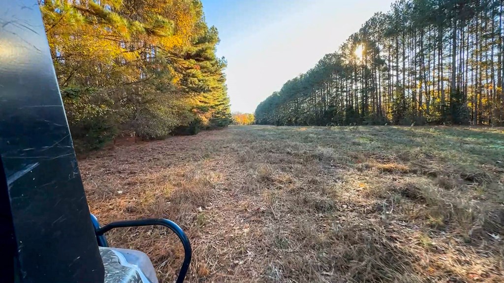3756 Plank Road Property Photo 18