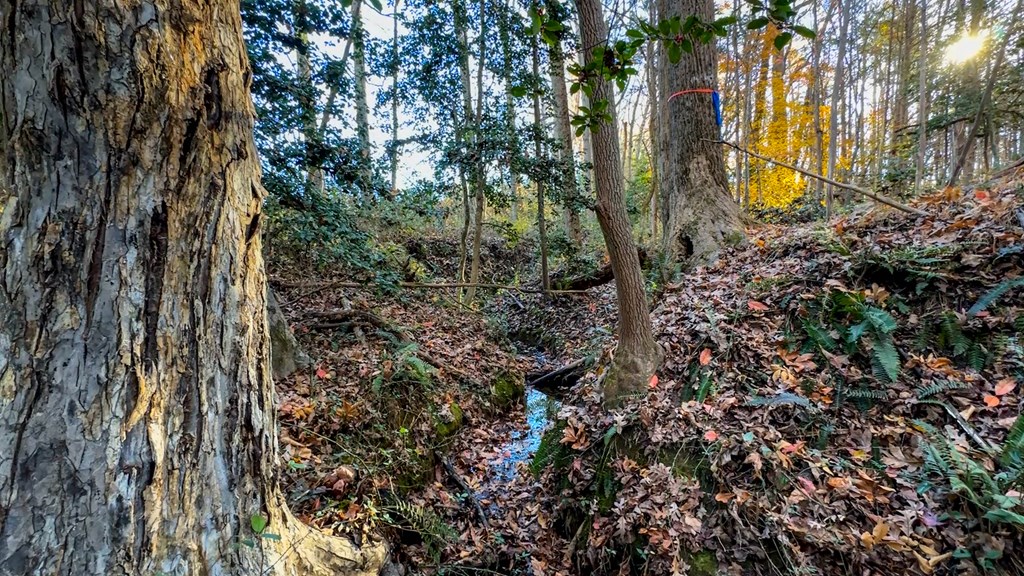 3756 Plank Road Property Photo 20