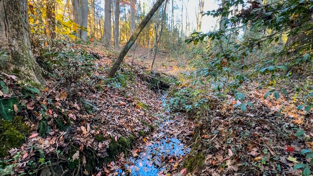 3756 Plank Road Property Photo 21