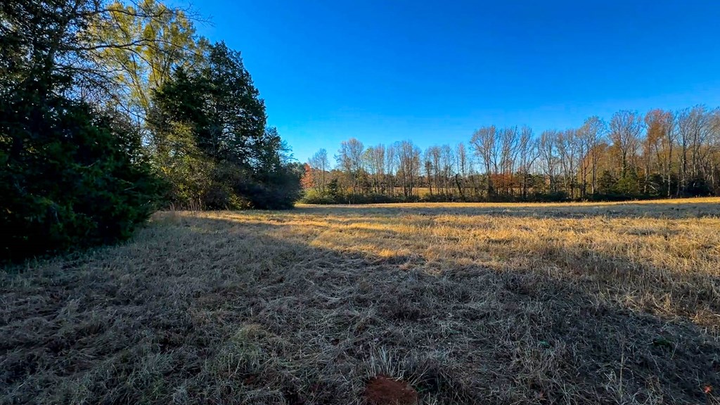 3756 Plank Road Property Photo 24