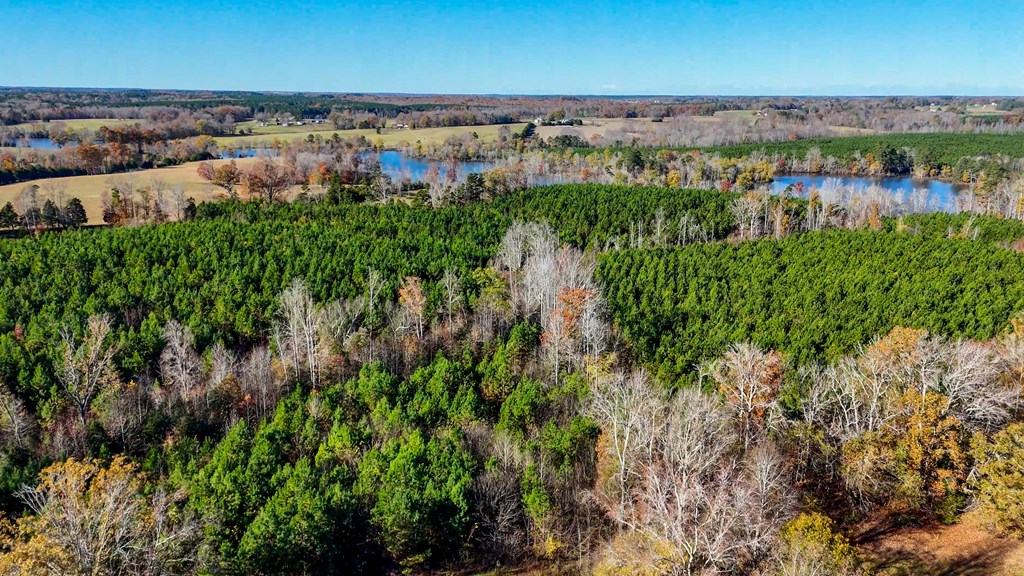 3756 Plank Road Property Photo 25