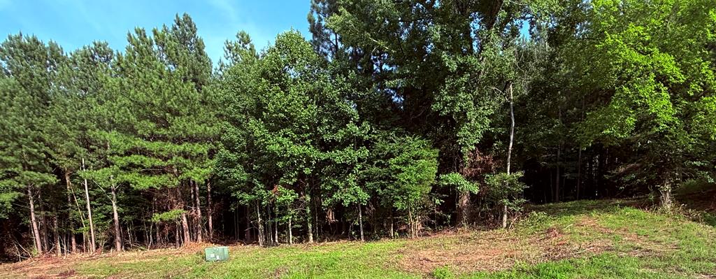 Lot 19 Woodlawn Drive Property Photo 4