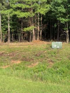 Lot 19 Woodlawn Drive Property Photo 5