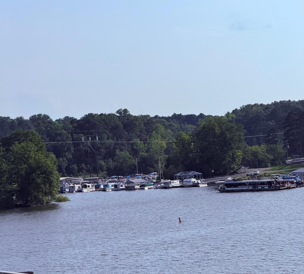 Lot 19 Woodlawn Drive Property Photo 11