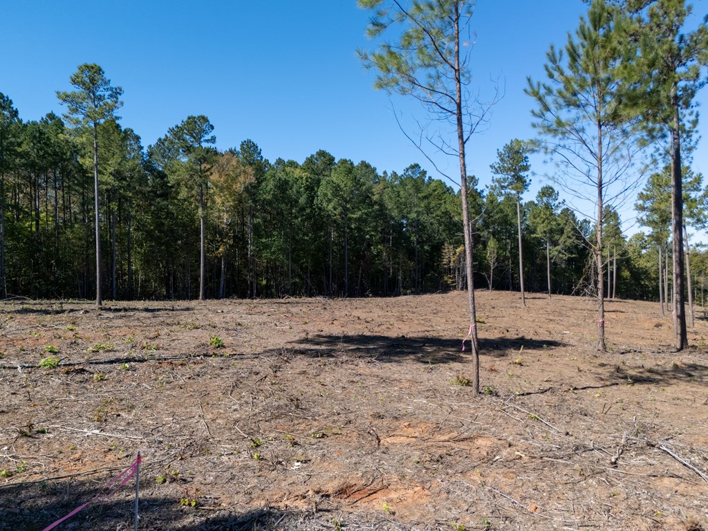 1.41 Ac Millville Road Property Photo 2