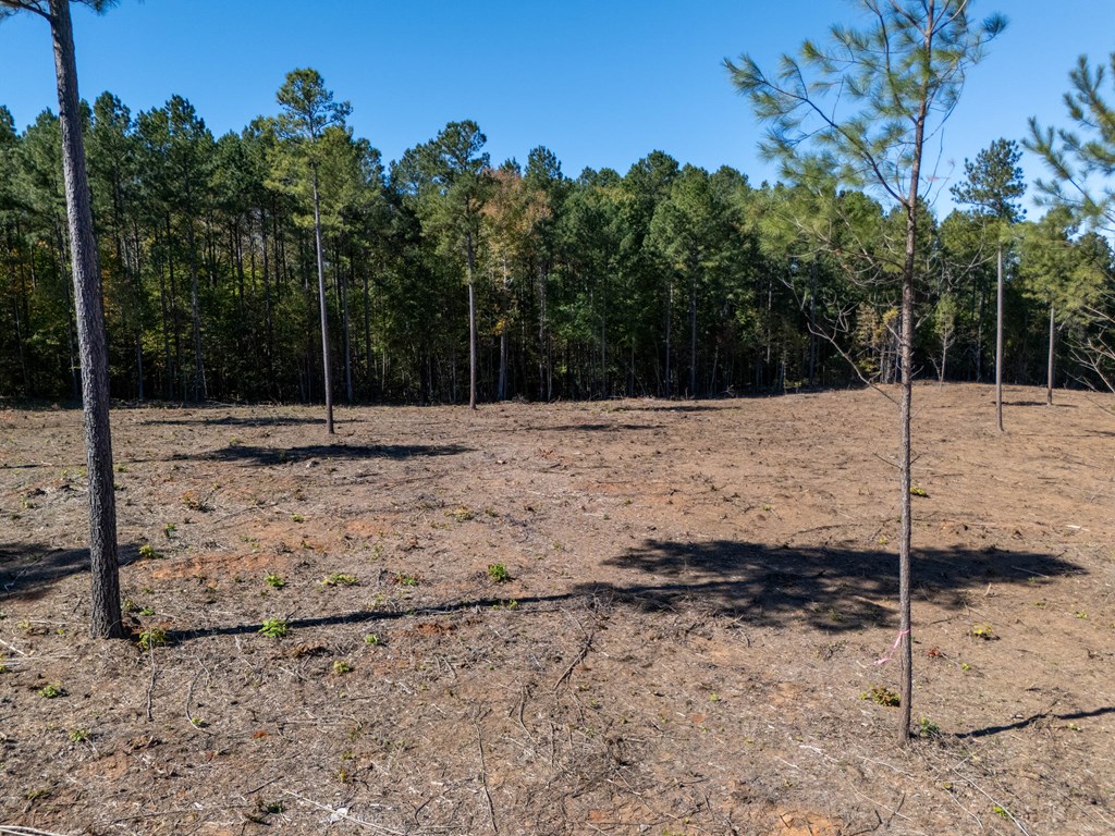 1.41 Ac Millville Road Property Photo 3