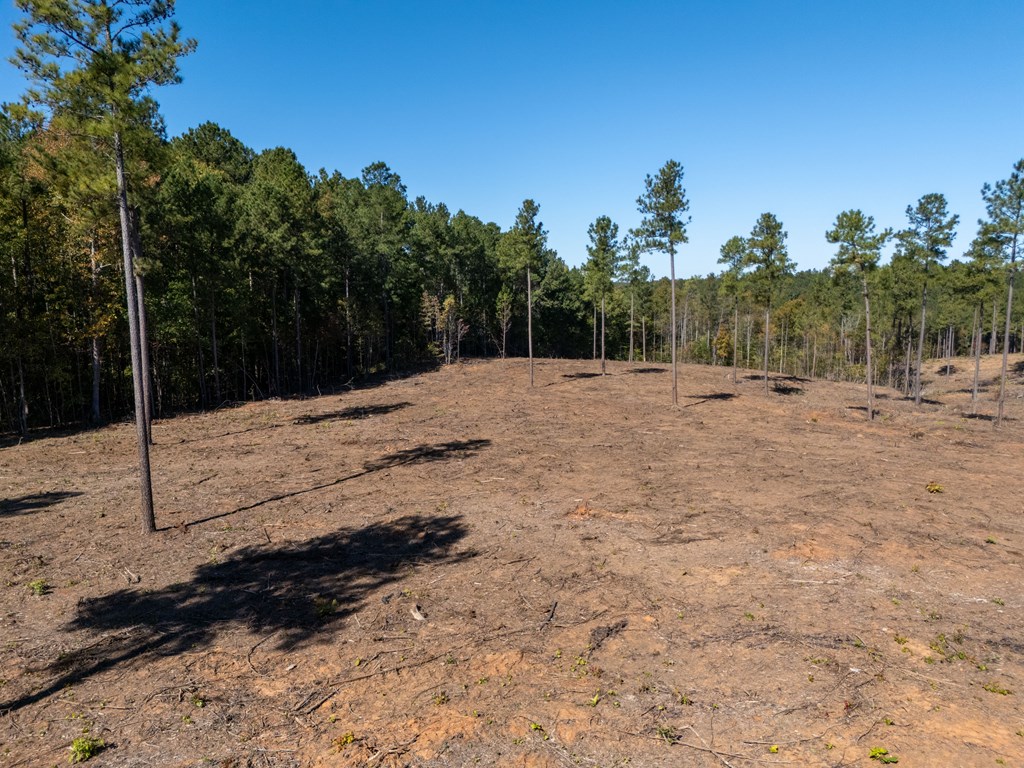1.41 Ac Millville Road Property Photo 4