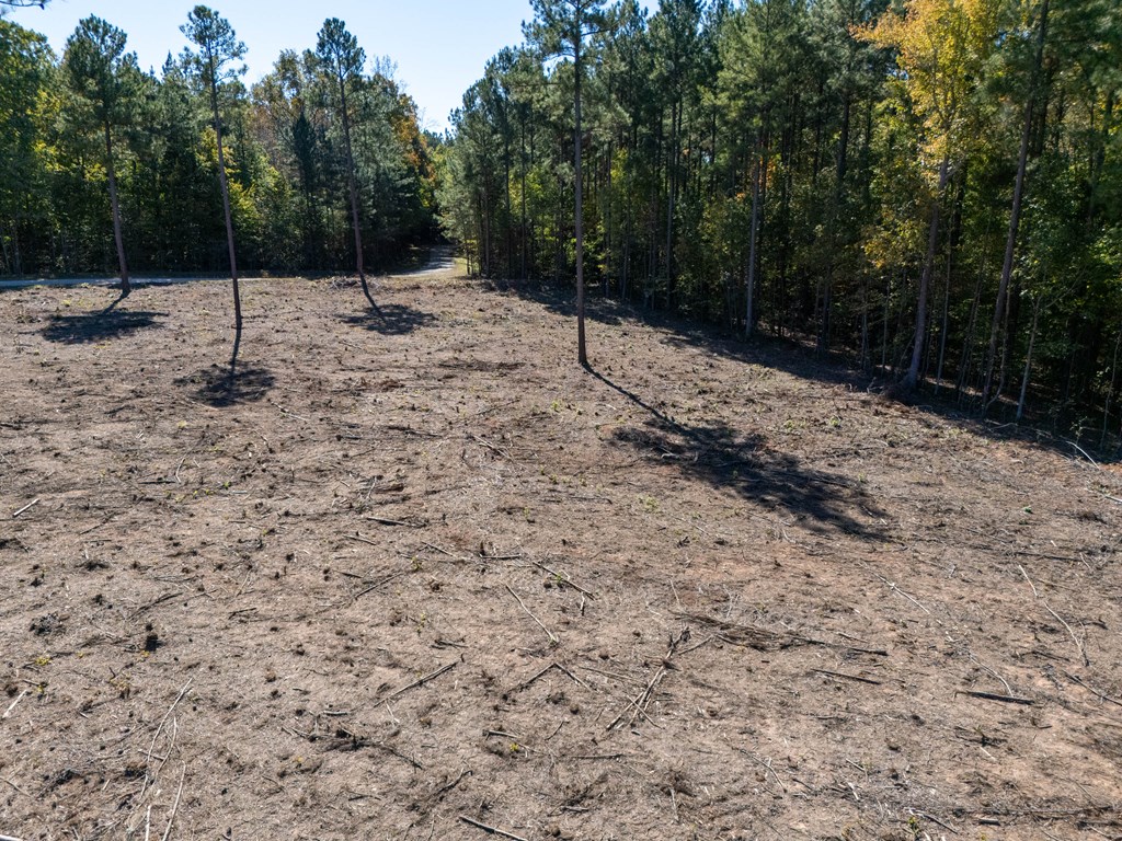 1.41 Ac Millville Road Property Photo 6