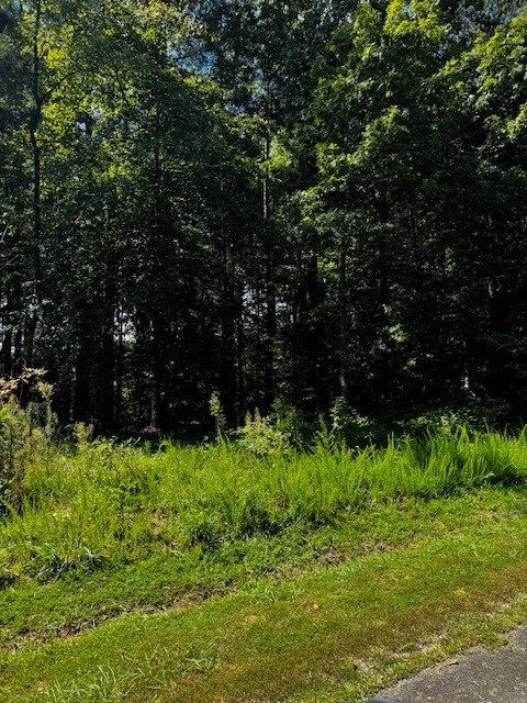 5 & 6 Stripers Cove Lane Property Photo 2
