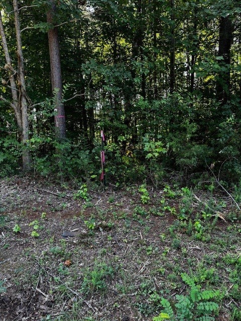 5 & 6 Stripers Cove Lane Property Photo 5