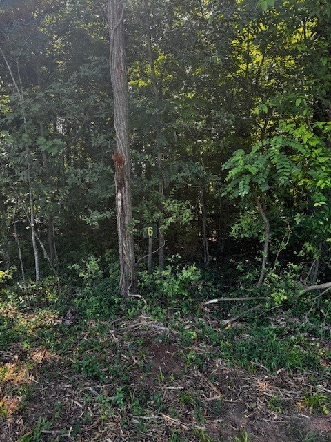 5 & 6 Stripers Cove Lane Property Photo 6