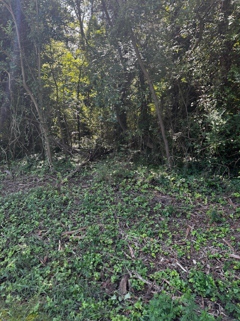 5 & 6 Stripers Cove Lane Property Photo 8