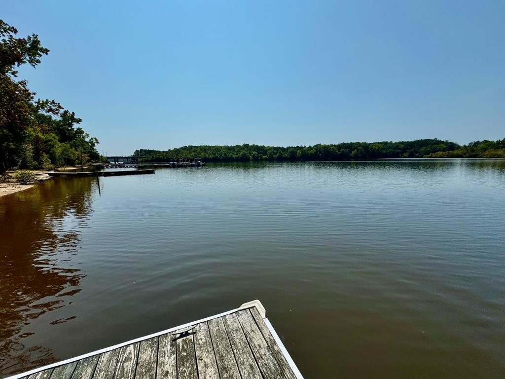 317 Lake Ridge Drive Property Photo 62