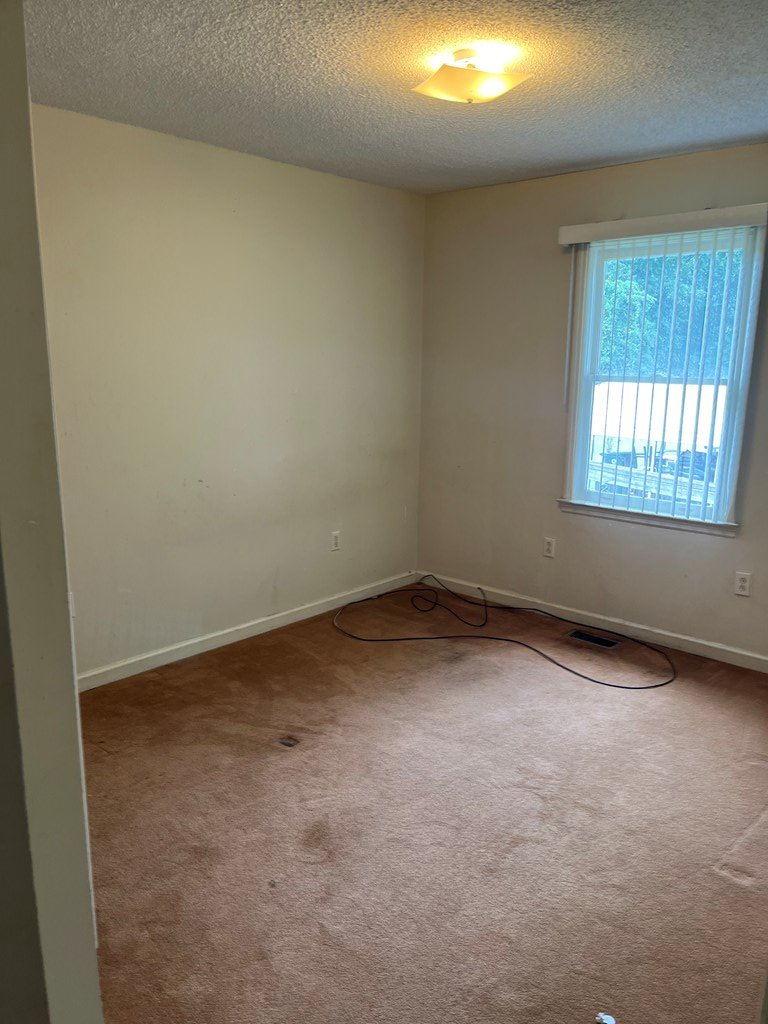 205 Smith Street Property Photo 9