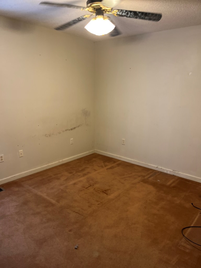 205 Smith Street Property Photo 12