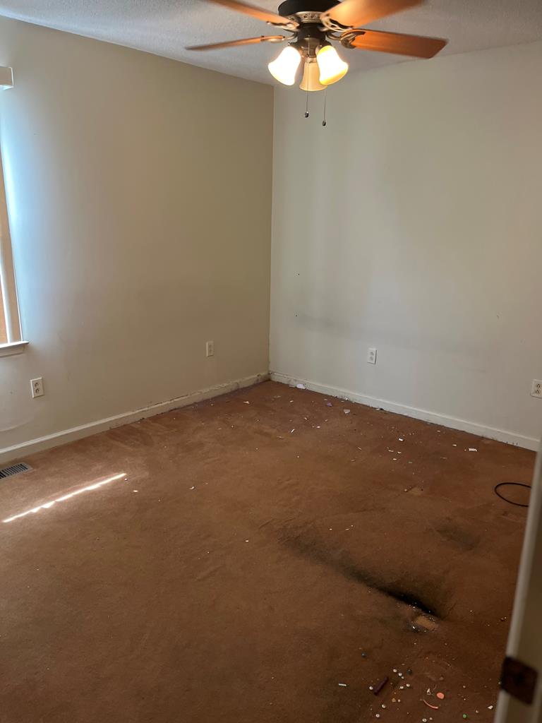 205 Smith Street Property Photo 19